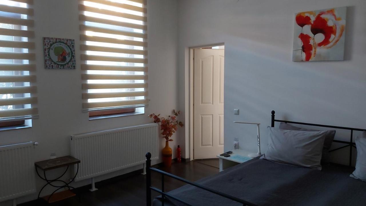 City Center Minimalist Apartment Oradea Zewnętrze zdjęcie